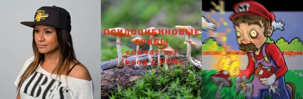 PSILOCYBIN Абдулино