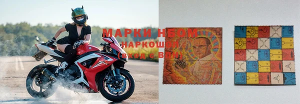 тгк Алзамай