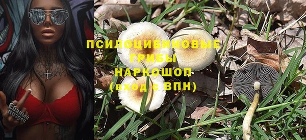 амф Алексин