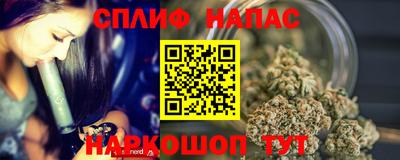 мдпв Славгород