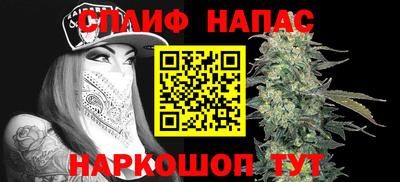 мдпв Славгород