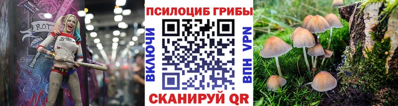 Псилоцибиновые грибы Psilocybe  купить наркоту  Тула 