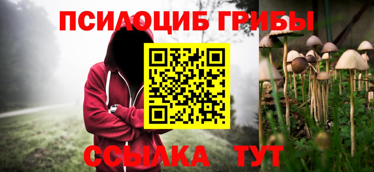 Галлюциногенные грибы Cubensis  Вход с VPN  Тула  Галлюциногенные грибы Psilocybe 